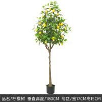 ราคา ต้นเลม่อนเทียม RAMITREES ต้นไม้ปลอม ดอกไม้และต้นไม้ประดิษฐ์ ของมงคลตกแต่งบ้าน (22416246352)