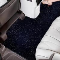 ราคา BYD Denza D9รถพิเศษอุปกรณ์เสริมรถยนต์เสื่อปูพื้น Para Auto Tools (22911676973)