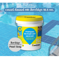 ราคา Weber color HR เวเบอร์ คัลเลอร์ เอช อาร์ กาวยาแนวสระว่ายน้ำ สปา และซาวน่า ขนาด 18 5 กก สีเทา สีขาว สีเทาไข่มุก (17781652435)