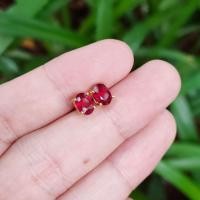 ราคา ต่างหูพลอยทับทิม Natural Ruby สีแดงเลือดนกสวยมาก เรือนเงินแท้ 92 5 ชุบทอง พลอยแท้บ่อโมซัมบิก สินค้ามีใบรับประกัน (2777218006)