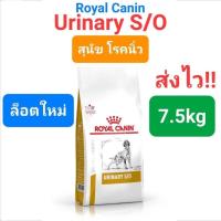 ราคา Exp 06 2025 Royal Canin Urinary s o 7 5kg โรยัลคานิน อาหารสุนัขโรคนิ่ว นิ่วหมา ถุงขนาด 7 5 กก (16492060839)