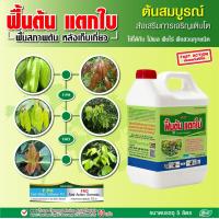 ราคา ฟื้นต้น ปุ๋ย ยา เร่งแตกใบ แตกกิ่ง แตกยอด ปุ๋ยน้ำทางใบ ปุ๋ยน้ำบำรุงต้น ฟื้นฟูสภาพต้นหลังเก็บเกี่ยว ฮอร์โมนพืช อาหารเสริมสำหรับพืช 1 ขวด หลายขนาด (11007345821)