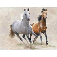 ราคา กระเบื้องผนังภาพชุด ROMANO HORSE SET A 90X120 A 30X60CM 6 แผ่น ชุด (742654230)