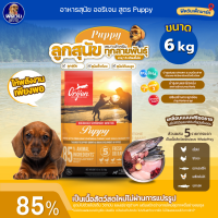 ราคา อาหารสุนัข ORIJEN ลูกสุนัข2เดือน 1ปี ทุกสายพันธุ์ 6 Kg (12884914780)