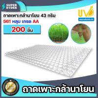 ราคา ถาดเพาะกล้านาโยน 561 หลุม มีให้เลือก 1 700 ชิ้น ถาดเพาะต้นข้าว ถาดเพาะนาโยน เพาะกล้าข้าว ถาดนาโยน ถาดเพาะกล้า (21997756429)