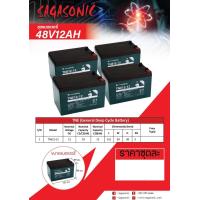 ราคา แบตเตอรี่ 36V 48V แบตเตอรี่รถจักรยานไฟฟ้า 2ล้อ 3ล้อ มอเตอร์ไซค์ไฟฟ้า (22237809924)