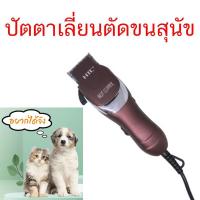 ราคา HTC V5000 ปัตตาเลี่ยนตัดขนสุนัขและสัตว์เลี้ยงสำหรับช่างมืออาชีพ ใบมีดสเตนเลส กว้าง 45 มม เซาะร่อง CT 367 ยางกันลื่น Thermo rubber สายไฟขนาด 0 5 ยาว 2 4 เมตร สีแดง (343218703)