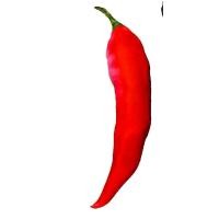 ราคา หมอนพริกแดงจินดา 1 50เมตร (23200023462)