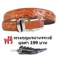 ราคา MCROC เข็มขัดหนังจระเข้แท้ ส่วนกระดูก สีน้ำตาลแทน (16123699604)