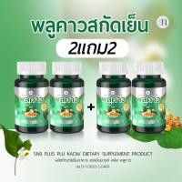 ราคา พลูคาว สกัดเย็น คาวตอง มีโปร1แถม1 น้ำเหลืองเสีย เสริมภูมิ กรากเกลื้อน สังคัง สะเก็ดเงิน แคปซูลพลูคาว (22582139750)