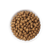 ราคา JPD YAMATO COLOR ENHANCER DIET 5KG เจพีดี อาหารปลาคาร์ฟพรีเมี่ยม สูตรเร่งสี 5 kg เลือกในรายการ (20899222273)