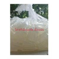 ราคา เบสสบู่กลีเซอรีน 10 kg ฟองยอะ แบบใส แบบขุ่น ปราศสาร SLS สามารถล้างผิวหน้า ผิวกายได้อย่างอ่อนโยน Glycerine soap (22945224874)