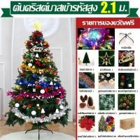 ราคา ส่งใน24ชั่วโมง ต้นคริสต์มาส ต้นคริสมาสใหญ่ ต้นสนคริสมาส พร้อมชุดตกแต่งและไฟกระพริบ LED 90 120 150 180 210cm ฟรี แถบตกแต่ง Christmas Tree ตกแต่งคริสต์มาส ทนทานนาน 10 ปี (23178144694)