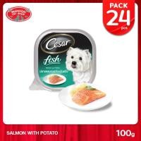 ราคา 24PCS MANOON CESAR Salmon Potato ซีซาร์ ถาด รสปลาแซลมอนและมันฝรั่ง 100 กรัม (415644082)