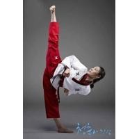 ราคา ชุดพุมเซ่ ชุดพุม เซ่ ชุดเทควันโด้ ชุดเทควันโด poomsae red taekwondo taekwando uniform (11501805246)