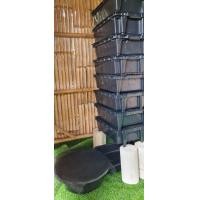 ราคา คอนโดเลี้ยงไส้เดือนเจาะรู12ใบโหลละ 1130บาท (7836229948)