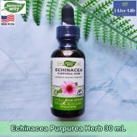 ราคา เอ็กไคนาเซีย แบบน้ำ Echinacea Purpurea Herb 30 mL Natures Way (13517866105)