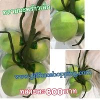 ราคา ผลไม้ปลอม มะพร้าวจำลอง ทลายมะพร้าวลูกเล็ก5ลูก ทลายเล็ก กรุณาอ่านขนาดให้ดีก่อนสั่งนะค้ (6705254176)