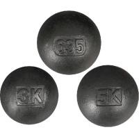 ราคา SPORTLAND ลูกทุ่มน้ำหนัก SPL Weight Throw th 5kg BK 950 (12620875665)