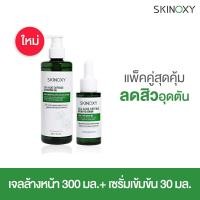 ราคา ซื้อคู่สุดคุ้ม SKINOXY CICA Acne Defense Cleansing Gel เจลล้างหน้า 300ml คู่กับ Defense Intensive Serum เซรั่ม 30ml (16559984212)