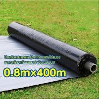 ราคา ค่าส่งถูก พลาสติกคลุมดิน 1 2ม x400ม พลาสติกคลุมแปลง พลาสติกดำ เงิน พลาสติกกันวัชพืช กันวัชพืช ปลูกผัก ปลูกผลไม้ เกรดA ผสมUV ไม่เจาะรู เจาะเดี่ยว (23189814830)