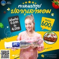 ราคา ปลากุเลาเค็ม ทับสะแก ส ประเสริฐวารินทร์ เค็มน้อยอร่อย เจ้าของเรือขายเอง ราชาปลาเค็ม กุเลาเค็ม (16427444556)