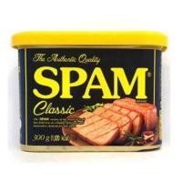 ราคา CJ Spam Classic สแปม หมูแฮมกระป๋องสุดฮิตจากเกาหลี 340g 300g 200g 80g (10634530795)