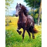 ราคา SDOYUNO DIY Oil Painting By Numbers Horse Animal Drawing On Canvas Paint By Number Artworks Home Decortion Gift For Adults Kits (20240854160)