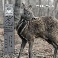 ราคา KARMAKAMET Living With Joy Online Set 5 คามาคาเมต สเปรย์น้ำหอม ฉีดตัว เพิ่มความหอม ของขวัญปีใหม่ ของขวัญจับสลาก (23095330302)