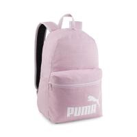 ราคา PUMA กระเป๋าเป้สะพายหลัง PUMA Phase Backpack III 09011803 (23309822234)
