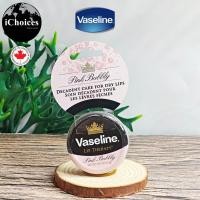 ราคา Vaseline Lip Therapy 17g or 20g วาสลีน ลิปเทอราพี ลิปบาล์มบำรุงริมฝีปาก บำรุงริมฝีปากที่แห้งแตกให้มีสุขภาพดี (20400316770)