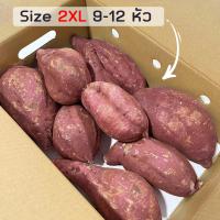 ราคา ถูกที่สุด ยกลัง5 กิโลกรัม มันหวานญี่ปุ่นสายพันธุ์ Okinawa ปลูกไทย เนื้อเหลือง หอมหวาน อร่อย สินค้าเคลมได้ (22706300838)