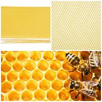 ราคา ราคาถูกคุณภาพดี Honeycomb Sheet 30 ชิ้นการเลี้ยงผึ้งรังกล่องมูลนิธิขี้ผึ้งแผ่นรังผึ้งเครื่องมือการเลี้ยงผึ้ง (3990892392)