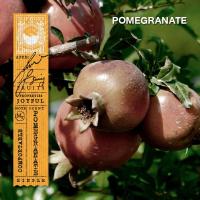 ราคา KARMAKAMET Original Body Spray คามาคาเมต สเปรย์น้ำหอม ฉีดตัว เพิ่มความหอม ผ่อนคลาย ของขวัญ (1194230733)