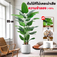 ราคา Con ต้นไม้ปลอม พร้อมกระถางและหินสีขาว ความจำลอง 99 ต้นไม้มงคลปลอม ต้นไม้เทียม 18 24ใบ ต้นไม้ปลอมใหญ่ ของแต่งบ้าน แต่งห้อง (22842885517)