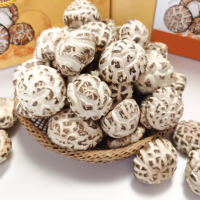 ราคา เห็ดหอมญี่ปุ่นอย่างดี ขนาด AAAAA6香菇เห็ด กลิ่นหอมเห็ดเข้มข้น ใหญ่และเต็ม เนื้อหนาไม่มีราก (21414032400)