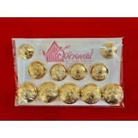 ราคา กระดุมชุดคอแบะ จากร้านอัศวอาสน์ (8575649002)