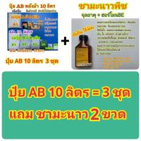 ราคา ปุ๋ยAB ชุด10 ลิตร ปุ๋ย สูตรพลังม้าเข้มข้น ผักไฮโดรโปนิกส์ทั้งน้ำวนและน้ำนิ่งและพ่นทางใบพืชทุกชนิด แถมผงเร่งรากขาวยาว ปุ๋ยแห้งผสมเองสุดคุ้ม (20525428741)