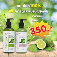 ราคา SeRiSe เซริเซ่ แชมพูมะกรูด ครีมนวดมะกรูด เซรั่มมะกรูด สูตรมะกรูดสมุนไพรไทย (17332937131)