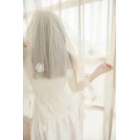 ราคา Daisy Bridal Veil เวลเจ้าสาว ประดับดอกไม้ เกสรลูกปัดสีเงิน 75 cm (20540696809)