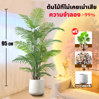 ราคา Con ต้นไม้ปลอม พร้อมกระถางและหินสีขาว ความจำลอง 99 ต้นไม้มงคลปลอม ต้นไม้เทียม 18 24ใบ ต้นไม้ปลอมใหญ่ ของแต่งบ้าน แต่งห้อง (22842885515)