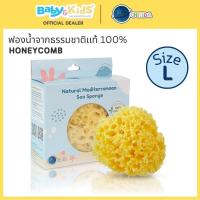 ราคา Chitida ฟองน้ำอาบน้ำเด็ก ฟองน้ำธรรมชาติ ฟองน้ำแท้ Honeycomb มีขนาดให้เลือก (18575019520)