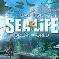 ราคา E Voucher บัตรซีไลฟ SeaLife Ocean World พารากอน จัดส่ง QR CODE ทางแชท (13104155246)