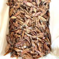 ราคา หมึกกะตอยเรือไดร์1 กิโลกรัม หมึกกะตอยแห้ง ปลาหมึกแห้ง ปลาหมึกแห้งถูก หมึกกะตอย 500กรัม หมึกตากแห้งไม่เค็ม 400กรัม (17123603620)