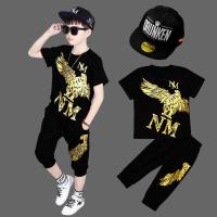 ราคา เสื้อผ้าเด็กชุดเสื้อยืดเด็กผู้ชายชุดฤดูร้อนกางเกง7ส่วนแขนสั้น5ชุดเด็กแบรนด์ยอดนิยม8 9ปีเสื้อผ้าเด็กแบบใหม่ฤดูร้อน (19915266401)