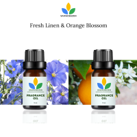 ราคา Fresh Linen Orange Blossom Fragrance Oil 10 ml หัวน้ำหอม กลิ่น ดอกลินินสด ดอกส้ม (23176000187)