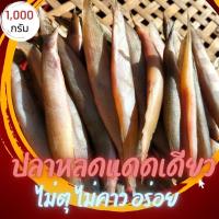 ราคา ปลาหลดแดดเดียว ปลาแดเดียว เนื้อแน่นอร่อยปลาธรรมชาติ ไม่ใส่สารกันเสีย เนื้อปลาไม่ยุ่ย ไม่คาว ไม่ตุ ขนาด 1000 กรัม (19236877279)