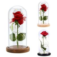 ราคา MYTO Beauty Rose in LED Glass Dome Forever Rose Red Rose Valentines Day Mothers Day Special Romantic (22234708184)