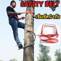 ราคา HR1 Tree Climbing อุปกรณ์ปีนต้นไม้ ที่ปีนต้นไม้ ปีนต้นไม้ รุ่น อุปกรณ์ปีนต้นไม้ อุปกรณ์ปีนเสาไม้ รองเท้าปีนต้นไม้ เข็มขัดเซฟตี้ เข็มขัด ปีนเส (9457977908)