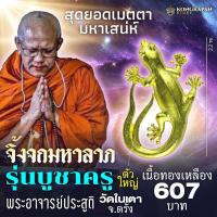 ราคา พญาจิ้งจกมหาลาภ รุ่นบูชาครู พระอาจารย์ประสูติ วัดในเตา (22606376113)